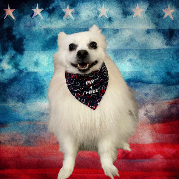 “Pip 4 Prez” Dog Bandana