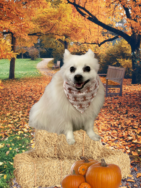 Apple Tree w/ Face Dog Bandana