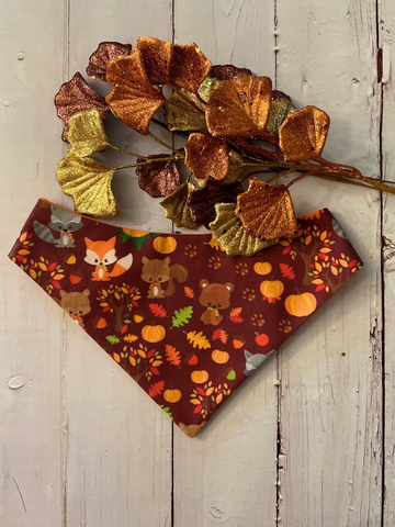 Fall Friends Dog Bandana